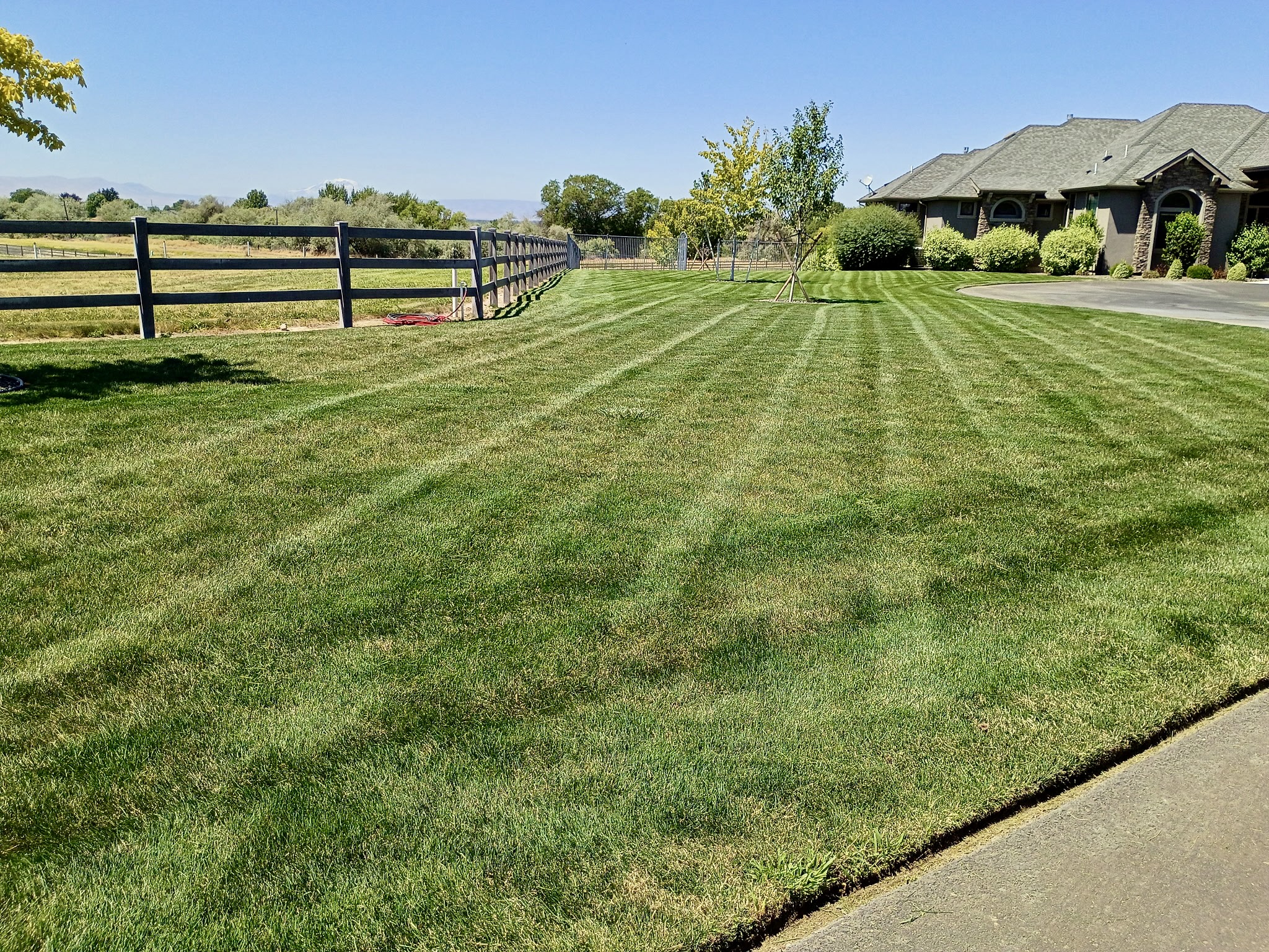 Manicured front lawn with crisp mower lines